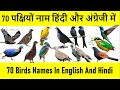 Birds Name |  Different type of Birds Name | पक्षियों के नाम |  All Birds Name | पंछी के नाम  ||