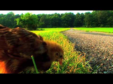 AXE Commercial 2010 - "A Question Unanswered" by mindofminnich