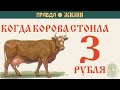 3 рубля корова не стоила