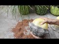 Creative flower pots ideas ! How to make beautiful cement pot at home easily