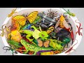 🦎toy asmr🦎 32 Mins ZURU Robo Alive Compilation ASMR | Robo Worm & RC Lizard & Butterfly & Spider