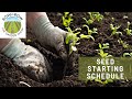 A COMPLETE SEED STARTING SCHEDULE FOR SPRING!