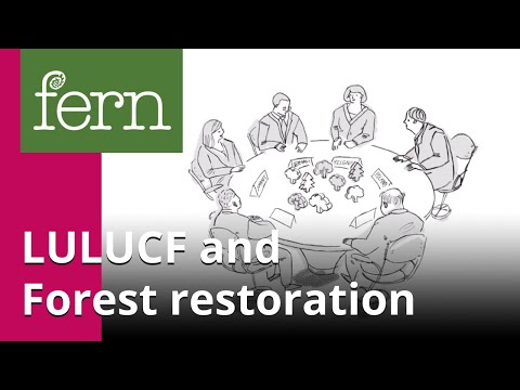 Video: Comprensione Delle Implicazioni Del Regolamento UE-LULUCF Per La Fornitura Di Legname Dalle Foreste Dell'UE All'UE