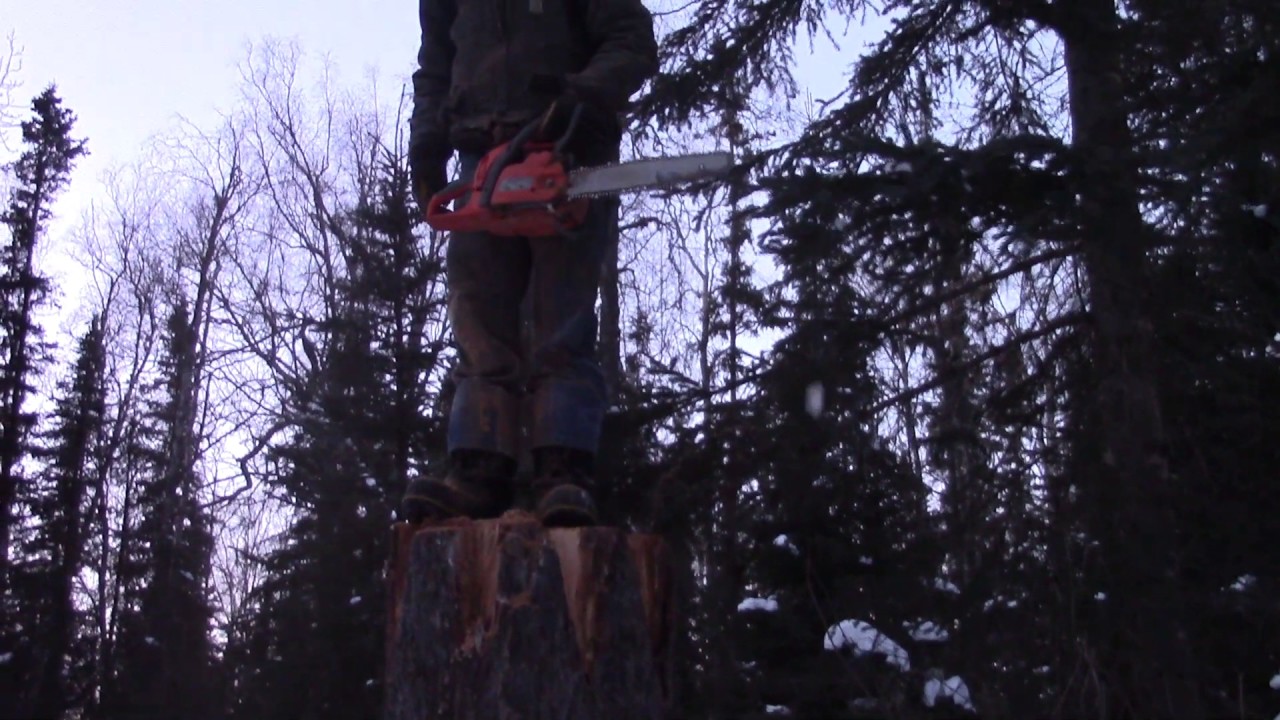 Adventure Alaska Harvesting Firewood YouTube