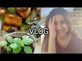 Life with TB medicines| Gardening &amp; cooking Chilli paneer| Colours of life.