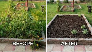 Before You Dig Up Your Old Garden Bed, Try This Easy Method to Improve the Soil Naturally
