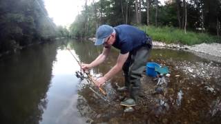 La pêche du barbeau au feeder