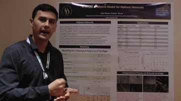 Axel Moore - Simple Analytical Model for Biphasic Materials - Extended