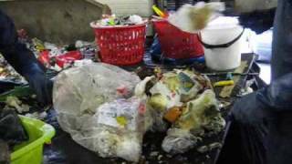 Plockanalys091022 0002