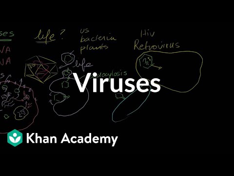 Viruses