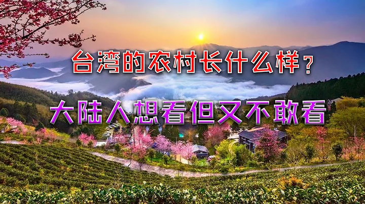 【遊俠小周】台灣的農村長什麼樣？大陸人想看但又不敢看，傷人太深 - 天天要聞