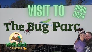 Visit to the Bug Parc | Virtual Tour | April 2024 #invertebrates #zoo #virtualtour