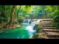 Relaxing Music For Stress Relief, Forest Birdsong Nature Sounds - Deep Healing Music for The Body