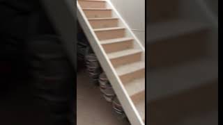 IMG 8530 1 mp4
