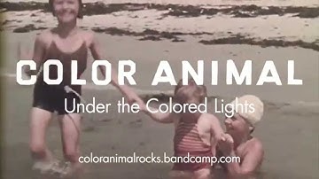 Under the Colored Lights