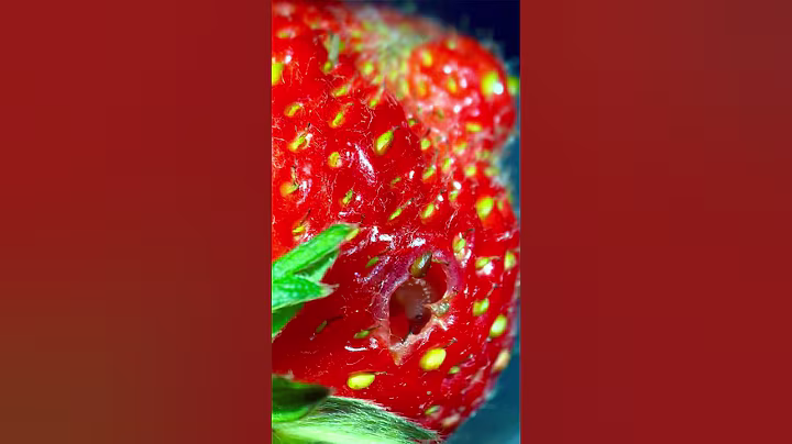 Shocking find in garden strawberry under the microscope!
