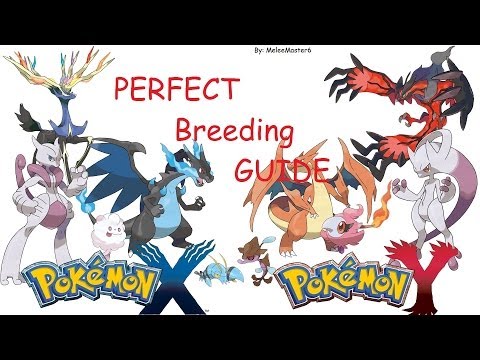 Beginner's Guide to Breeding in Pokémon X and Y - Kawaii Kakkoii Sugoi