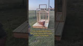 How do you move a heavy dog house with no help? by Kelaroo’s Ruff Ranch 205 views 7 months ago 2 minutes, 45 seconds