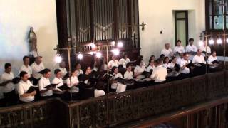 Vídeo de Senhor, tende piedade de nós - Missa do São Judas - Dom Bruno Gamberini