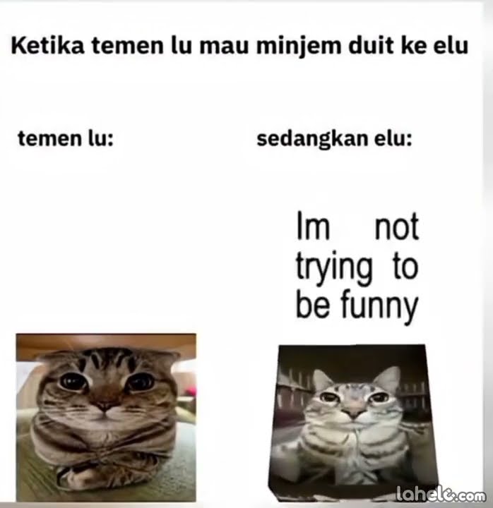 POV:Ketika temen lu mau minjem duit #meme#lahelu