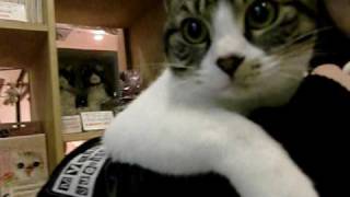 CIMG1706.AVI
