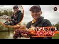 Bloodworm  joker fishing for roach and skimmers  andrew cranston