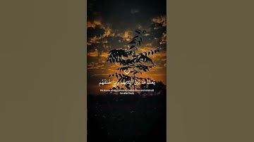 تلاوة هادئة تأخذك إلى عالم من الهدوء والسكينة بصوت القارئ إسلام صبحي ♡ #إسلام_صبحي #قرآن