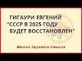 СССР будет восстановлен в 2025 году.  Гигаури Евгений