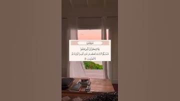 القارئ احمد النفيس | سورة هود