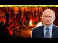 Шаманы Путина, лесные пожары и яды для ФСБ