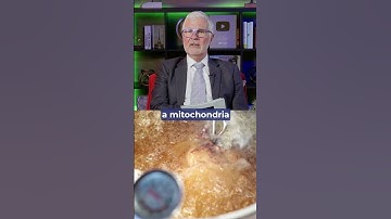 Can Polyphenols Help Extend Your Health Span?