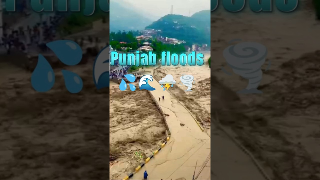 #punjabfloodupdate