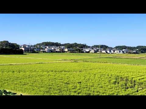 茨城県稲敷郡美浦村受領ライブカメラ Ibaraki Inashikigun Live camera.world.cam