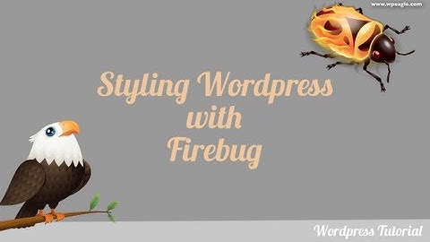 How to Style Wordpress using Firebug & Custom CSS