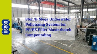8ton/h Mega Underwater Pelletizing System for PP/PE Filler Masterbatch Compounding - USEON