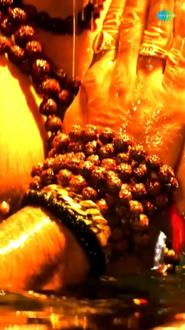 BGM Alert #khesarilalyadav #bolbamsong #saregamahumbhojpuri