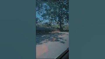 Rajrappa mandir mini vlog #ytshorts #shortsvideo #youtube #rajrappa_mandir #subscribe #bunny