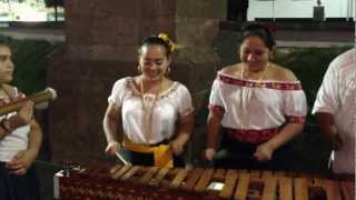 Miniatura de vídeo de "Vamos a Tabasco - Marimba Voces del Grijalva"