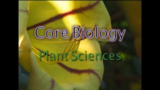 Core Biology: Plant Sciences (Accessible Preview)