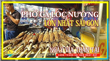 Phố Cá Lóc Nướng Lớn Nhất Sài Gòn ngày Vía Thần Tài | Đường Tân Kỳ Tân Qúy | lang thang Sài Gòn