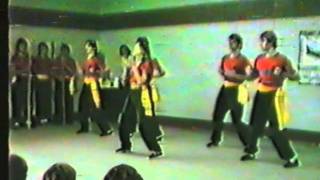 Origins of Wing Chun to Song screenshot 3