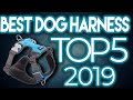 🙀 TOP 5: Best Dog Harnesses 2020