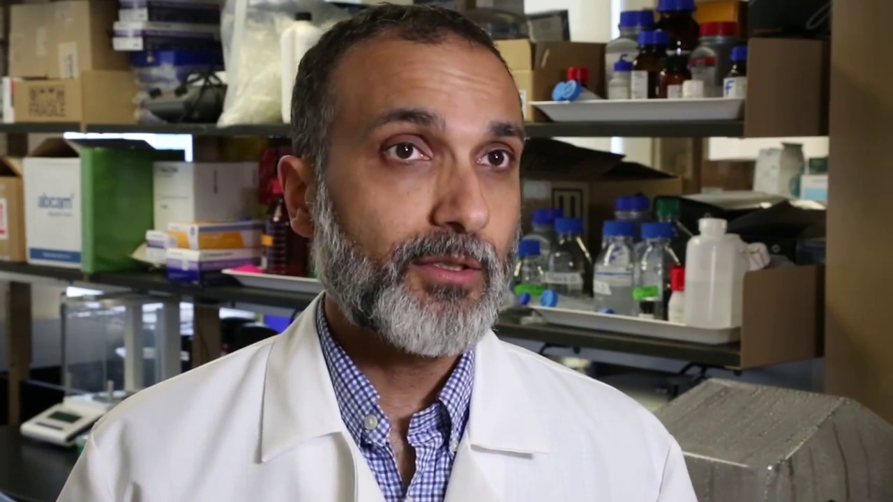 Exposure To Toxins And Nutrients During Pregnancy Correlated To Autism Risk