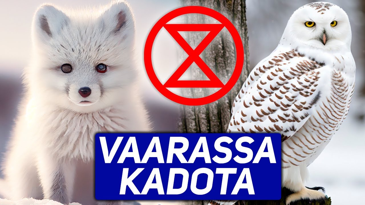 10 SUOMEN UHANALAISINTA ELÄINTÄ