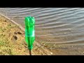 Unique Fish Trapping System Using Plastic Bottle Catching Cat Fish from Saltwater River