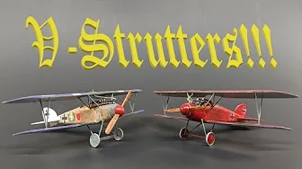 Is Roden's Albatros Diii REALLY worth the effort?