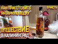 ПУТЕШЕСТВИЕ В КАЛИНИНГРАД 2023 ЯНВАРЬ / КАК ПРИГОТОВИТЬ ЯНТАРНУЮ ВОДКУ