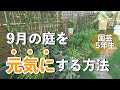 【ガーデニング】残暑で枯らさない！生き残りをかけた9月の庭仕事｜小さな庭