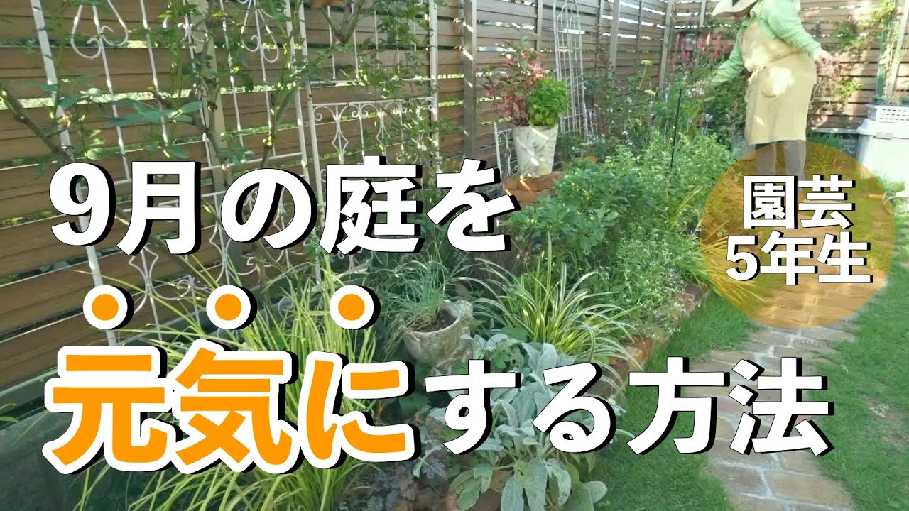 【ガーデニング】残暑で枯らさない！生き残りをかけた9月の庭仕事｜小さな庭
