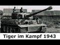 Tiger im Kampf / Gefechtsbericht Schwere Panzer Abteilung 503 / Kursk / Kurt Knispel